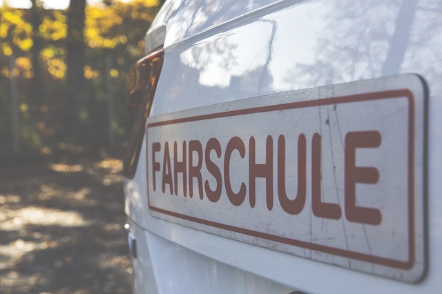 THEO Führerscheintrainer