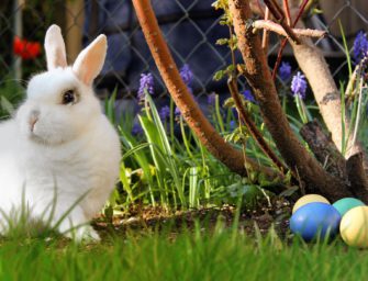 Honor Easter Week mit Ostergeschenk